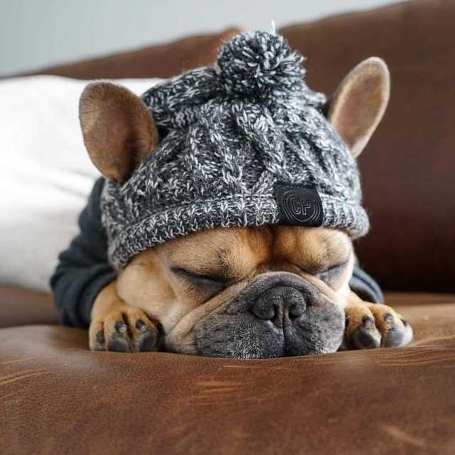 Gorros de punto cálidos para mascotas con bola esponjosa para otoño e invierno 