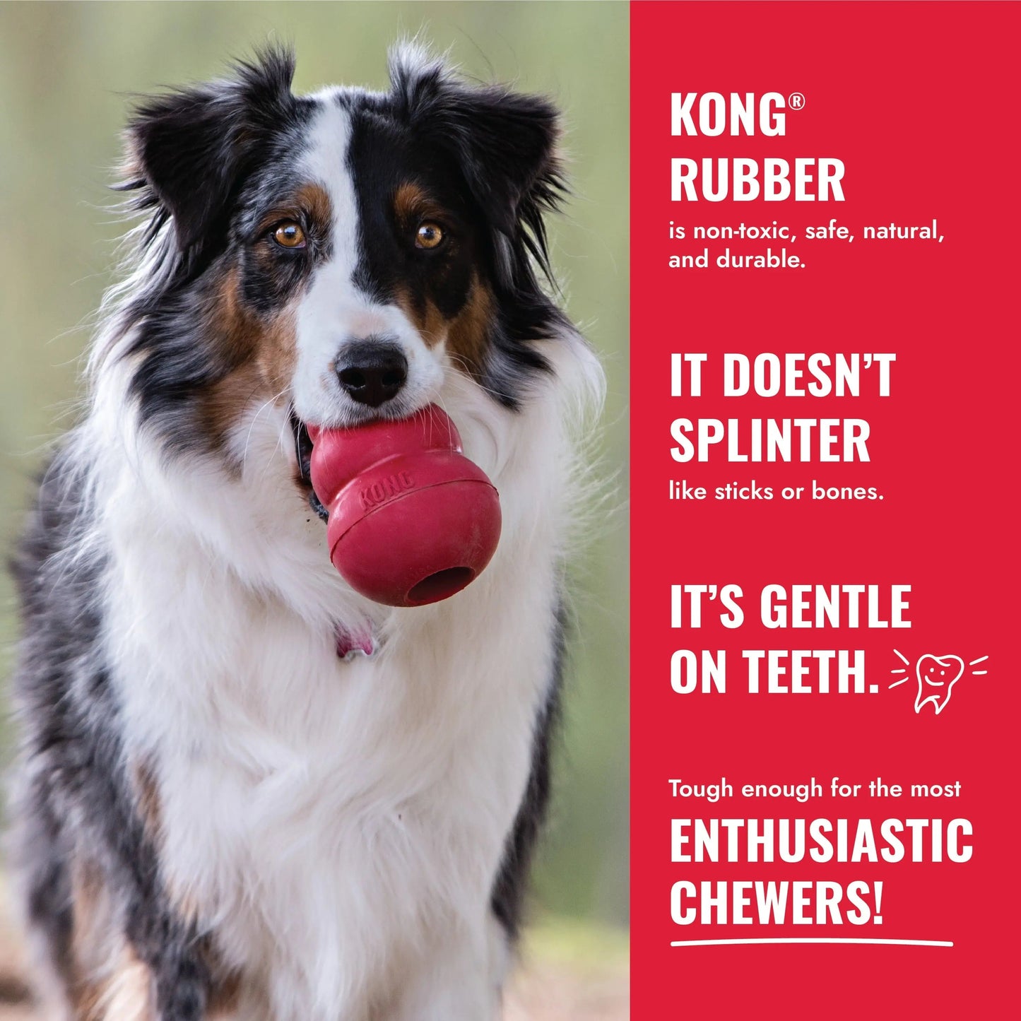 Jouet à mâcher classique pour chien, petit modèle