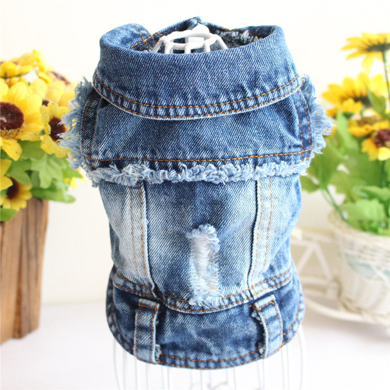 Chaqueta vaquera azul para perro y gato, abrigo y chaleco 