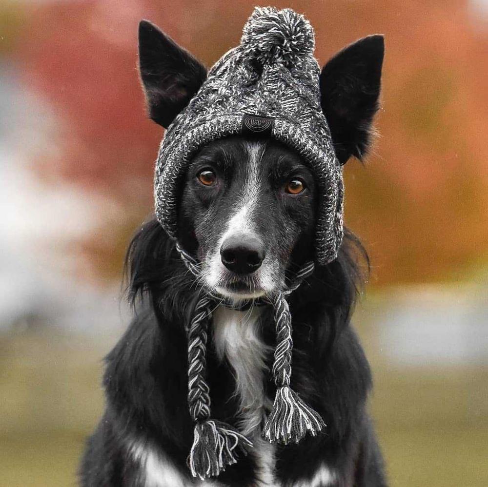Gorros de punto cálidos para mascotas con bola esponjosa para otoño e invierno 