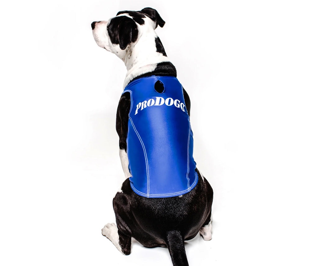 PRODOGG™ Anti-Anxiety Compression Shirt - Large to 2XL 159101B by InstantFigure INC