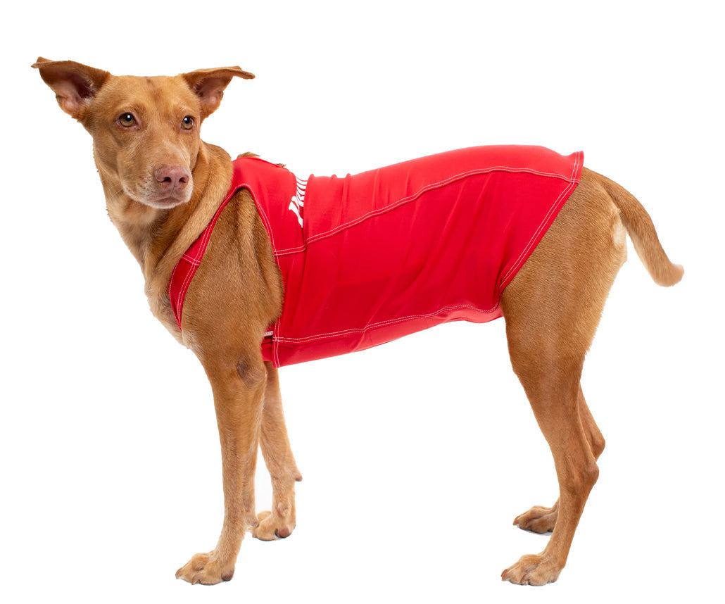 PRODOGG™ Anti-Anxiety Compression Shirt - Large to 2XL 159101B by InstantFigure INC