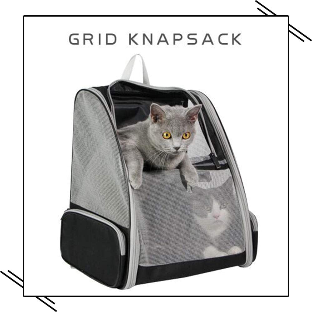Sacs de transport à bulles pour chats et chiens