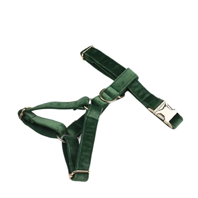 Ensemble classique personnalisé en velours vert forêt