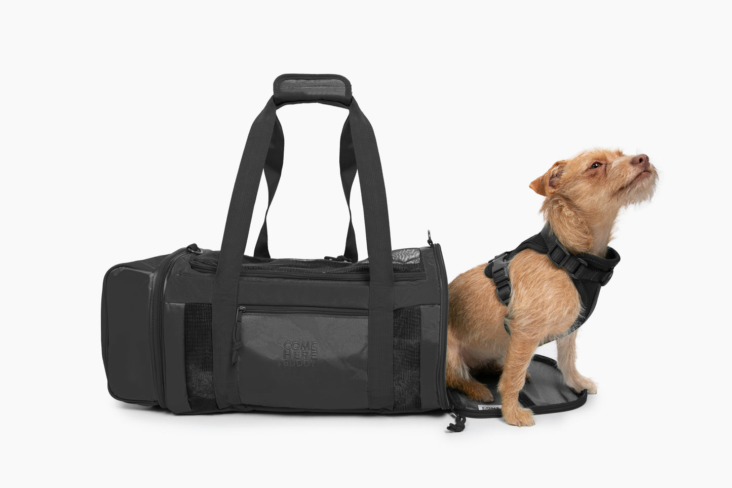 Travel Buddy - Transportín para mascotas