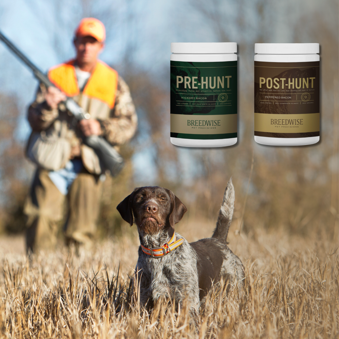 Breedwise Pre &amp; Post-HUNT - Masticables blandos para perros - Paquete