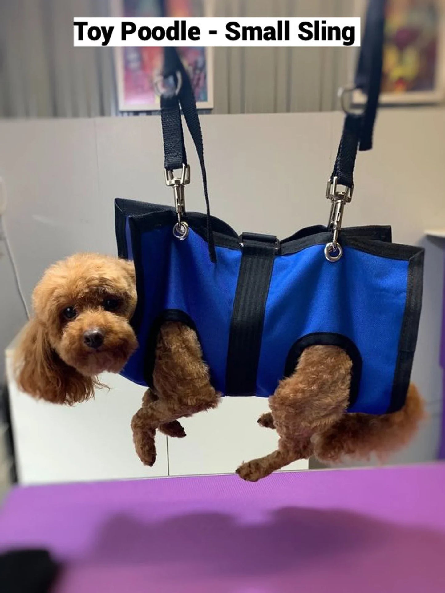 Arnés para mascotas
