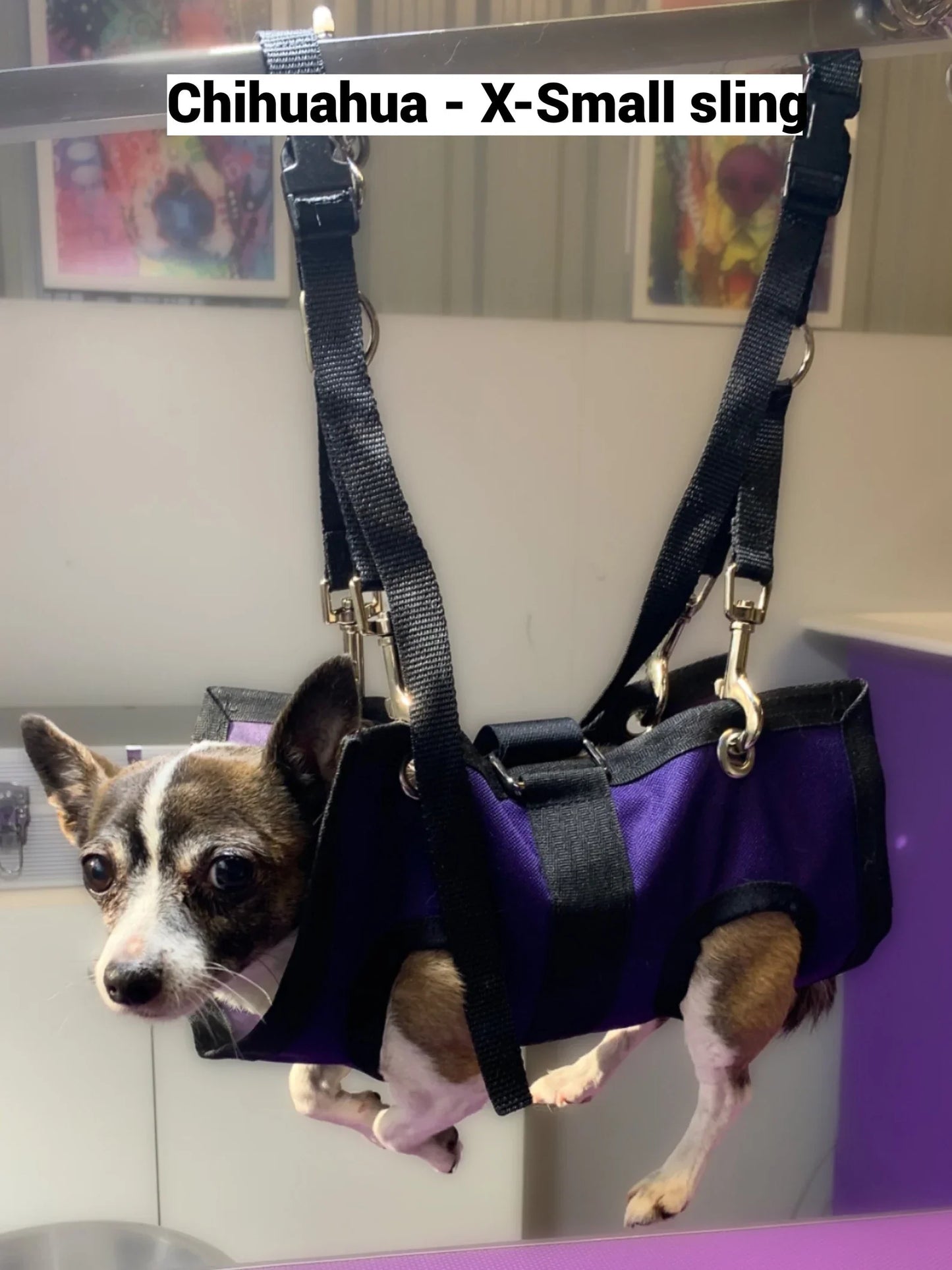 Arnés para mascotas
