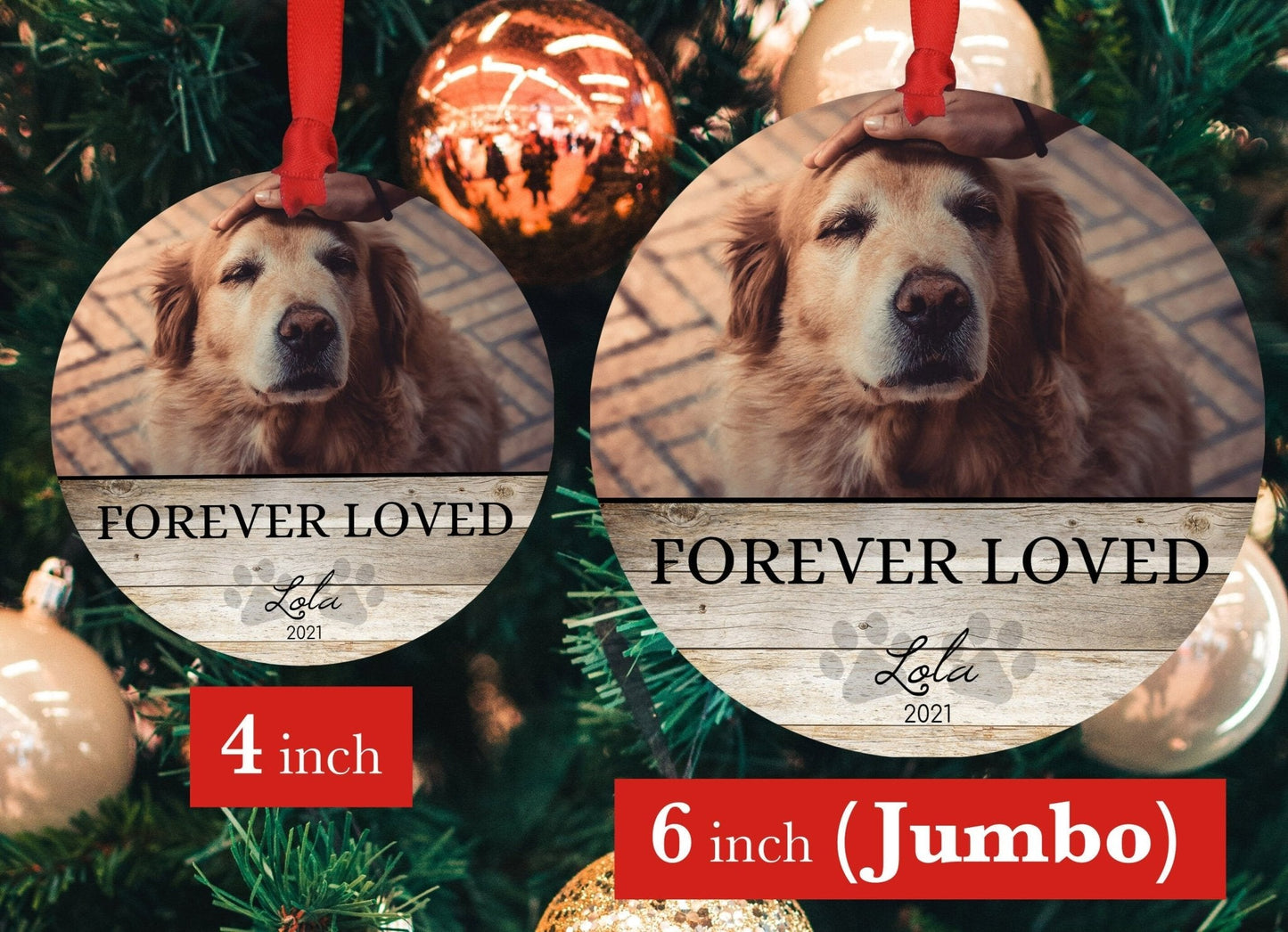 Pet Memorial Ornament with Photo and Name