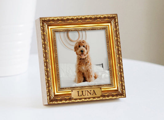 Memorial para mascotas personalizado con marco dorado de 4" o 6" - Marco NO ORO REAL - Impresión fotográfica en madera - Marco conmemorativo para perros - Memorial para mascotas