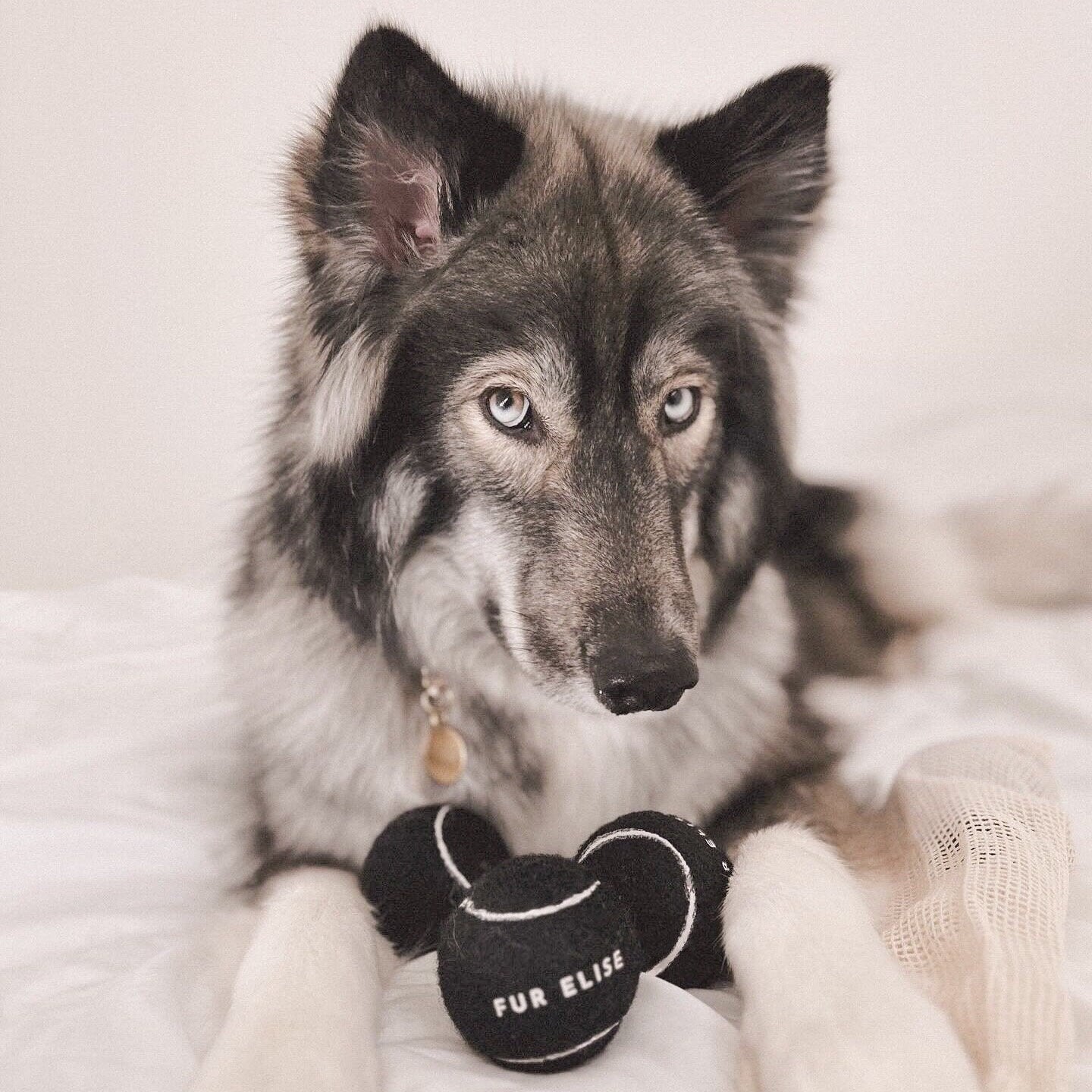 Pelota de tenis clásica - Noir