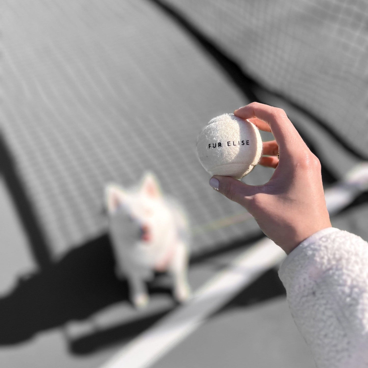 Pelota de tenis clásica - Hueso