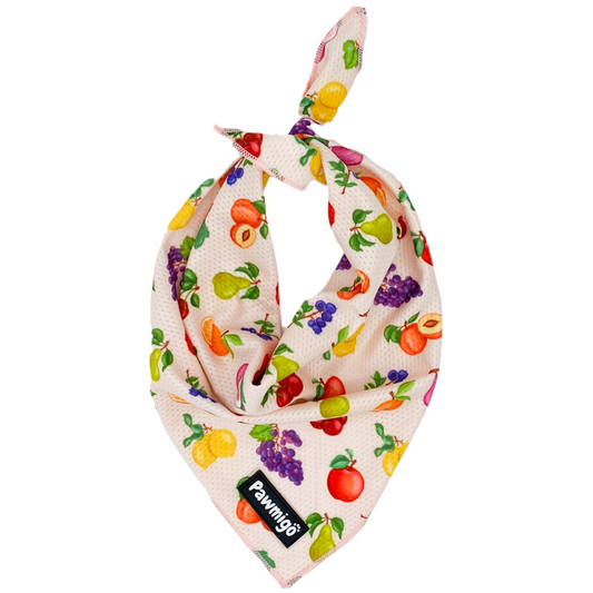 Bandana rafraîchissant Frootie Patootie