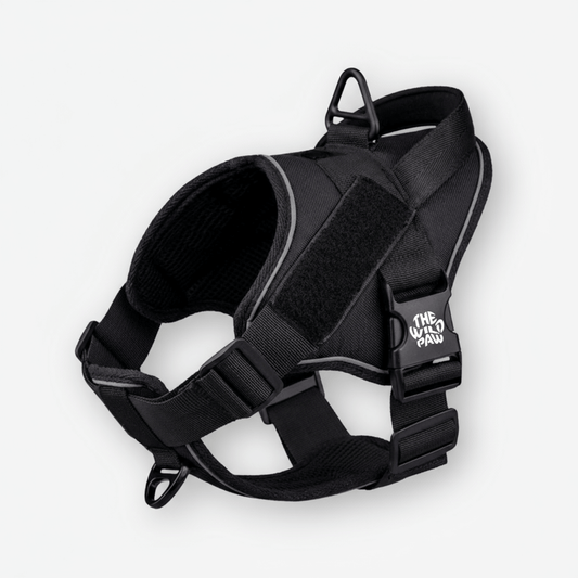 Harnais tactique TrailBlaze