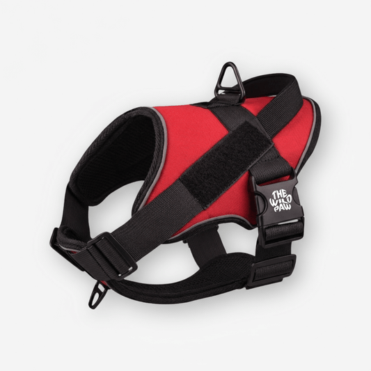 Harnais tactique TrailBlaze