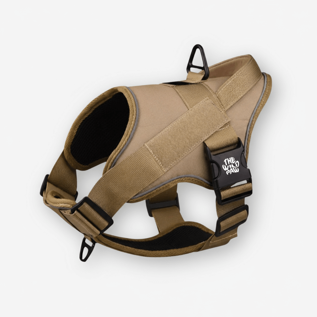 Harnais tactique TrailBlaze