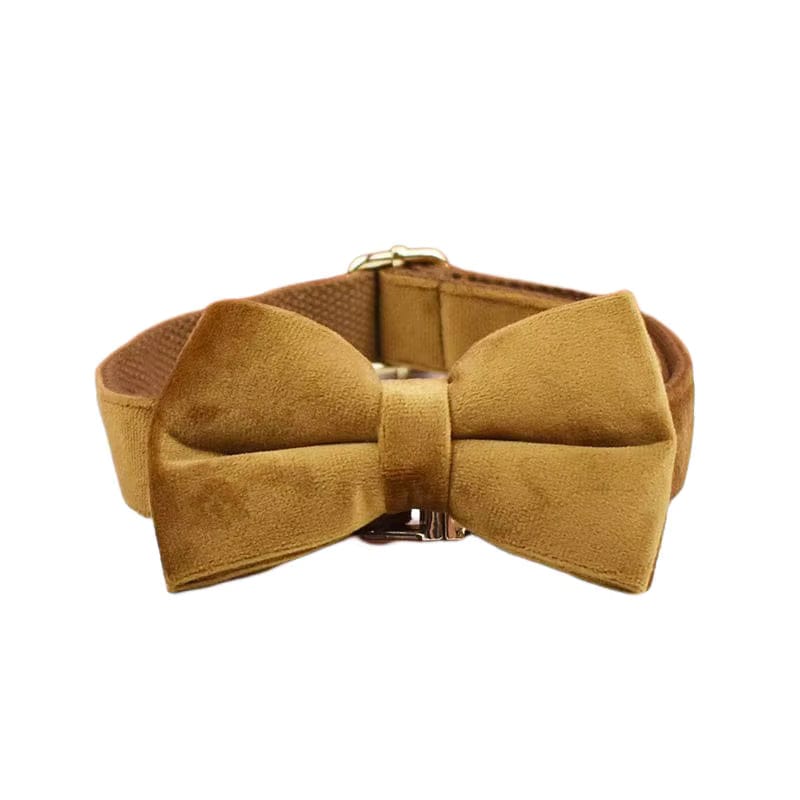 Ensemble classique personnalisé en velours café clair