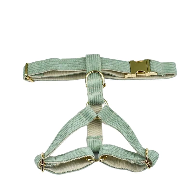 Conjunto clásico de pana verde claro personalizado