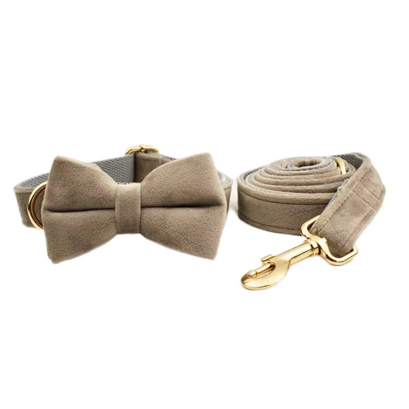 Ensemble classique personnalisé en velours gris clair
