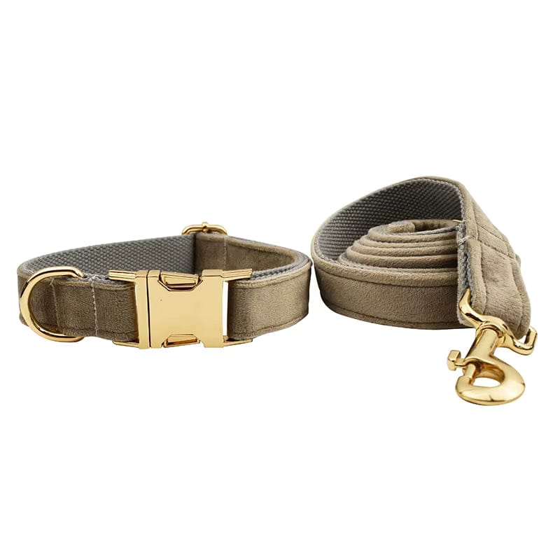 Ensemble classique personnalisé en velours gris clair