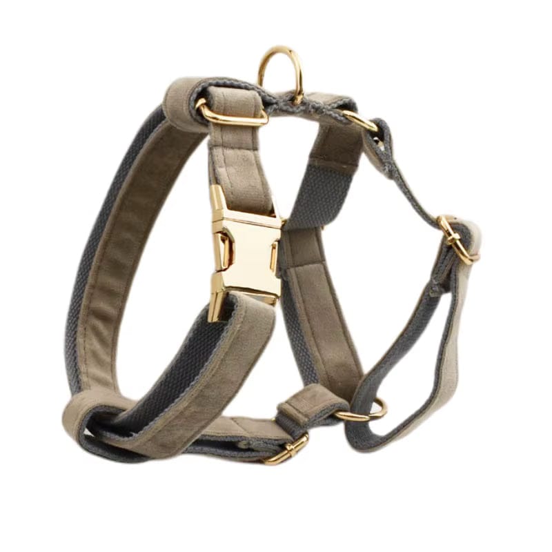 Ensemble classique personnalisé en velours gris clair