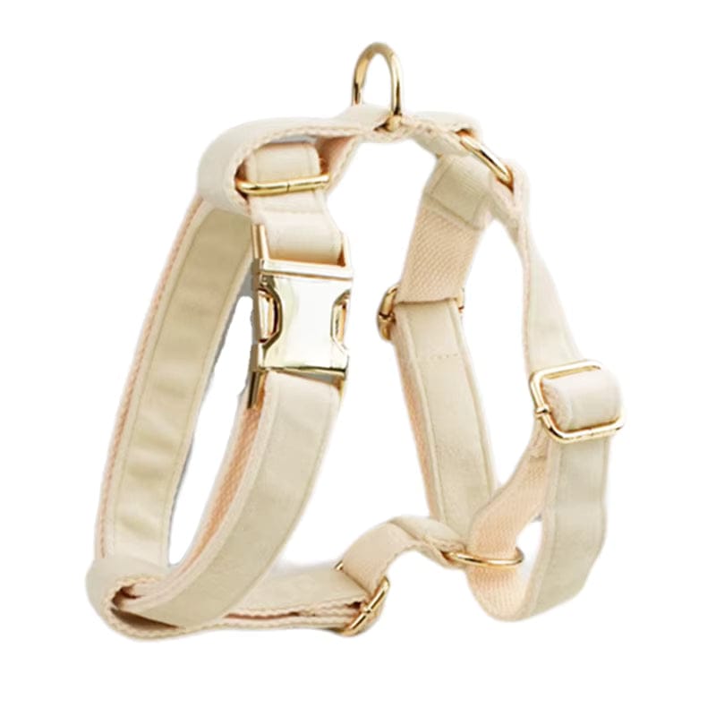 Ensemble classique personnalisé en velours blanc laiteux