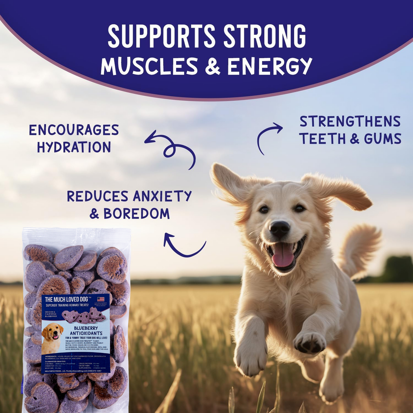 Much Loved Dog™ - RECHARGE Antioxydant aux Myrtilles, 170 g.