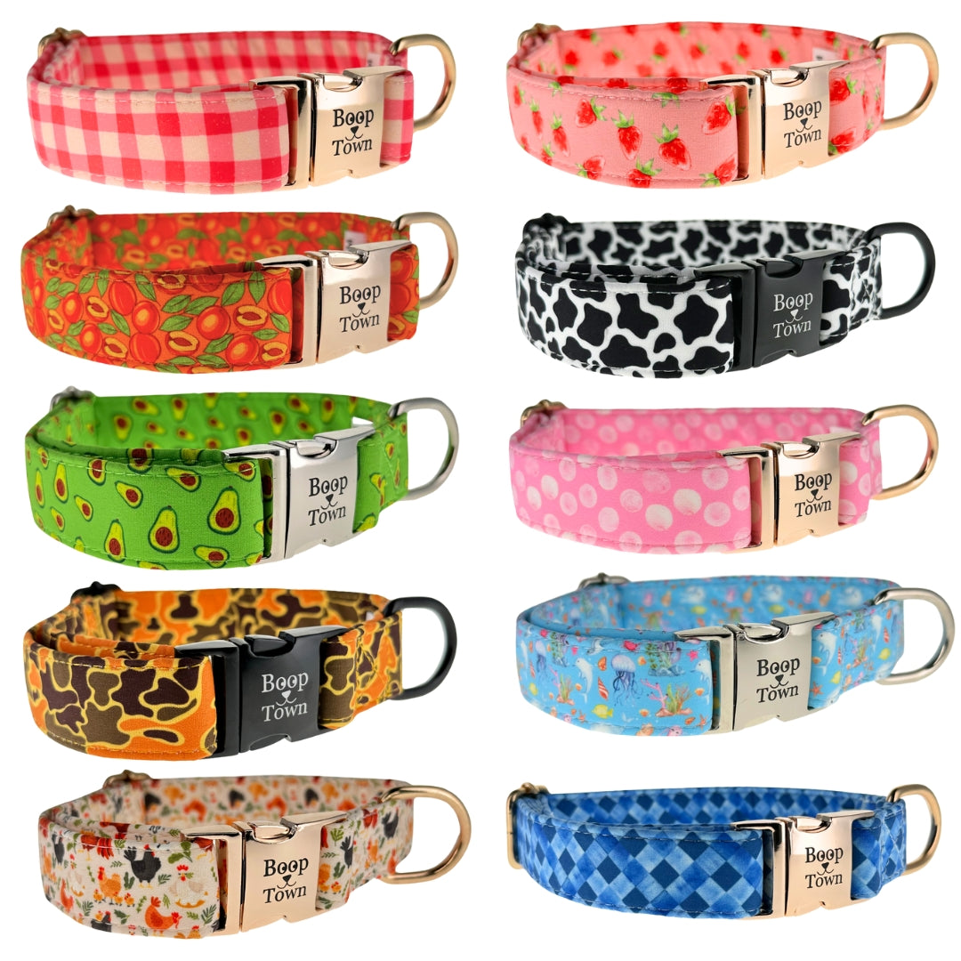 Colliers pour chiens