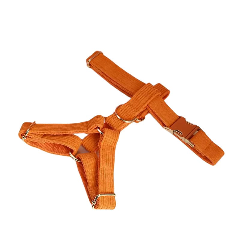 Conjunto clásico de pana naranja personalizado