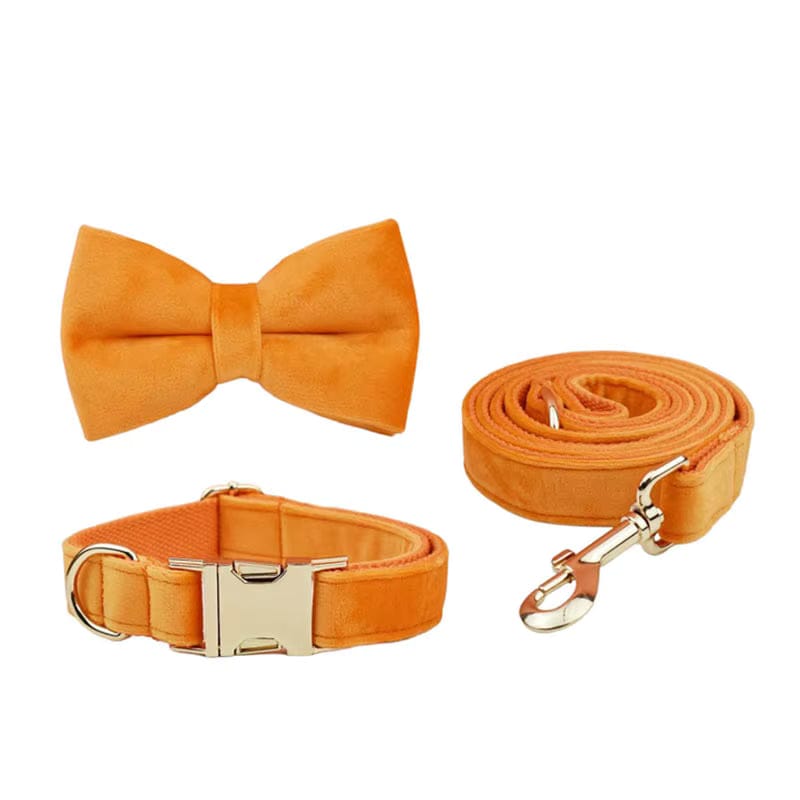Ensemble classique personnalisé en velours orange