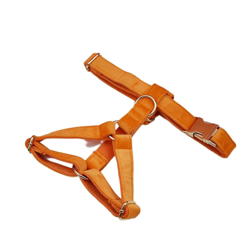 Ensemble classique personnalisé en velours orange