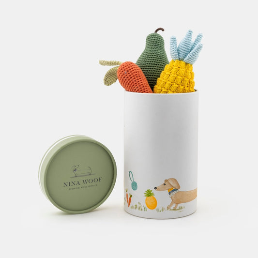 Paquete de juguetes de verduras orgánicas