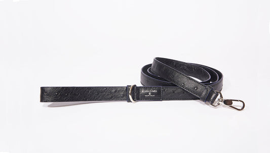 Correa para perro grande, color avestruz negro 