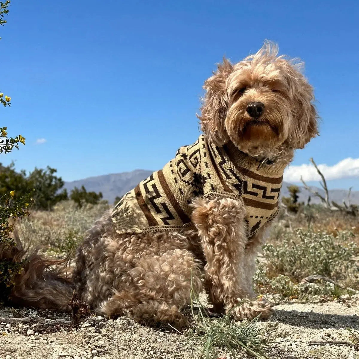 Suéter para perro Pendleton