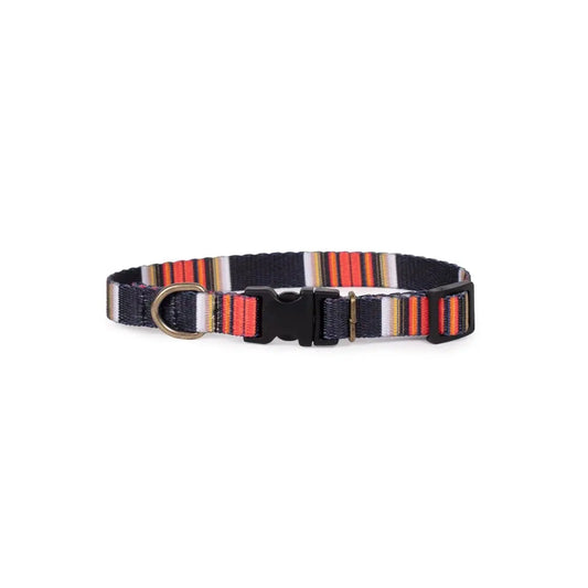 Collier d'aventure du parc national de Pendleton
