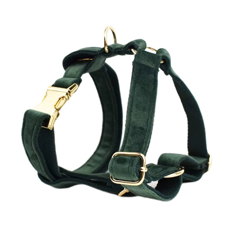 Ensemble classique personnalisé en velours vert foncé