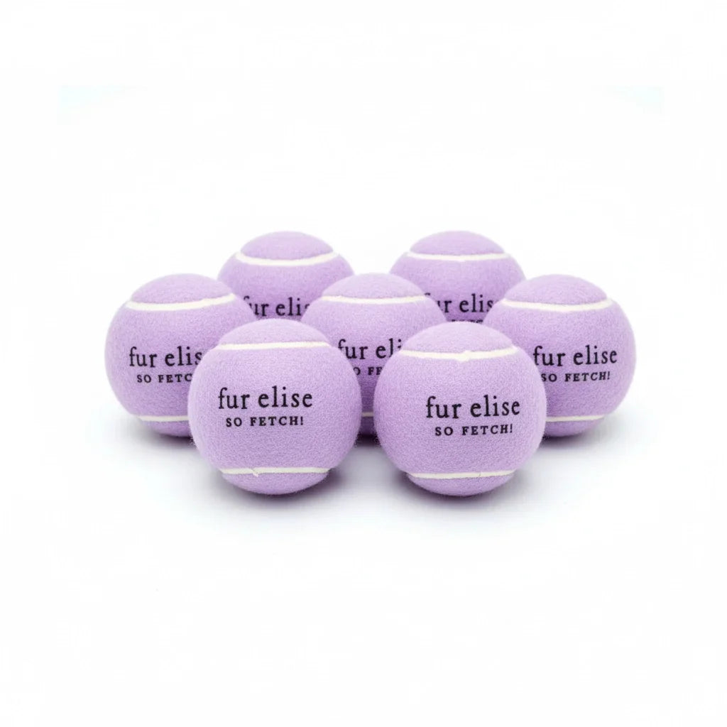 Lot de 7 balles de tennis So Fetch! - Lilas