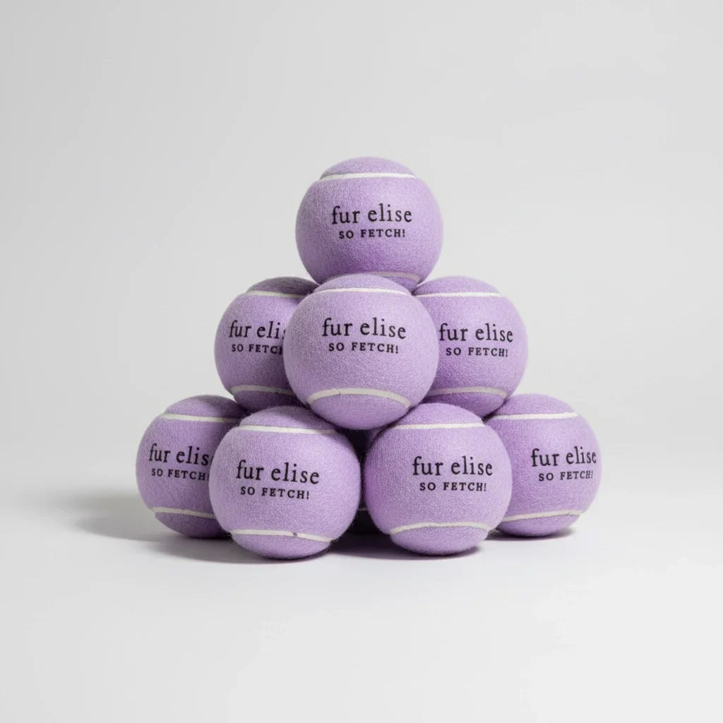 Lot de 7 balles de tennis So Fetch! - Lilas