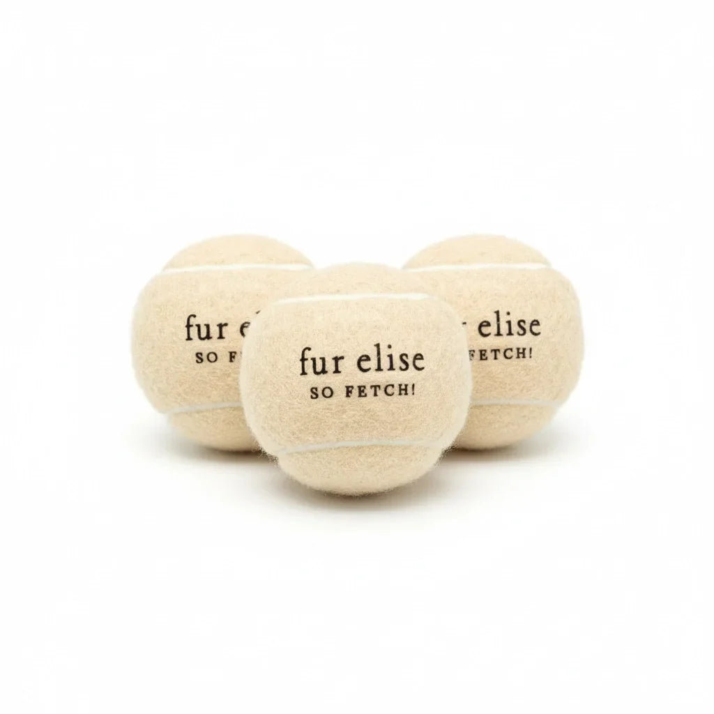 So Fetch! Tennis Ball Pack of 3 - Latte