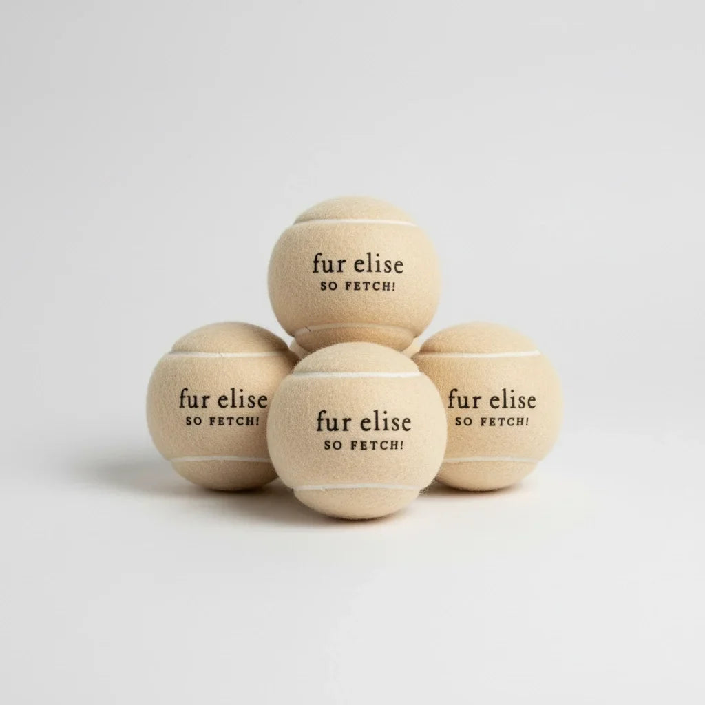 So Fetch! Tennis Ball Pack of 5 - Latte