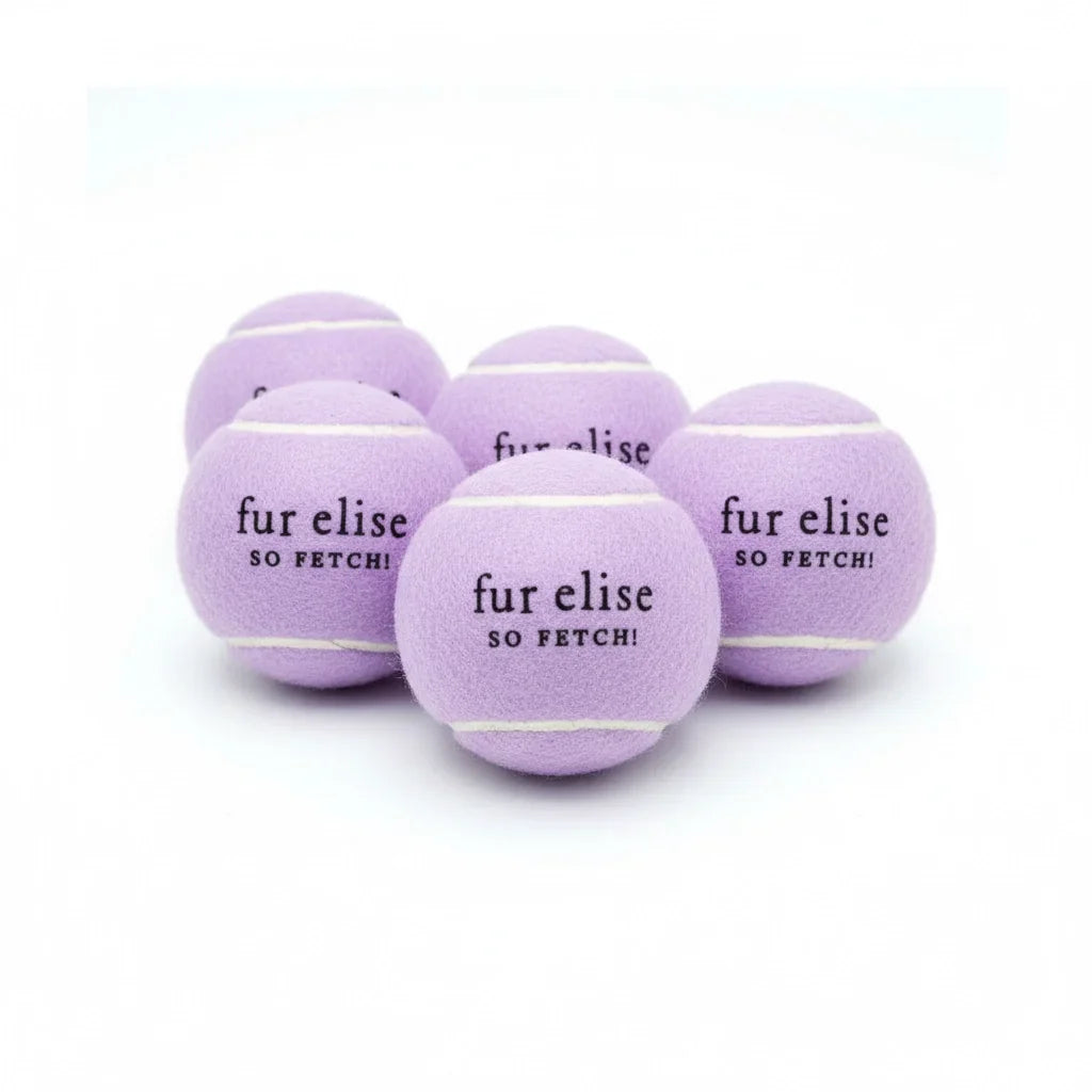 So Fetch! Lot de 5 balles de tennis - Lilas