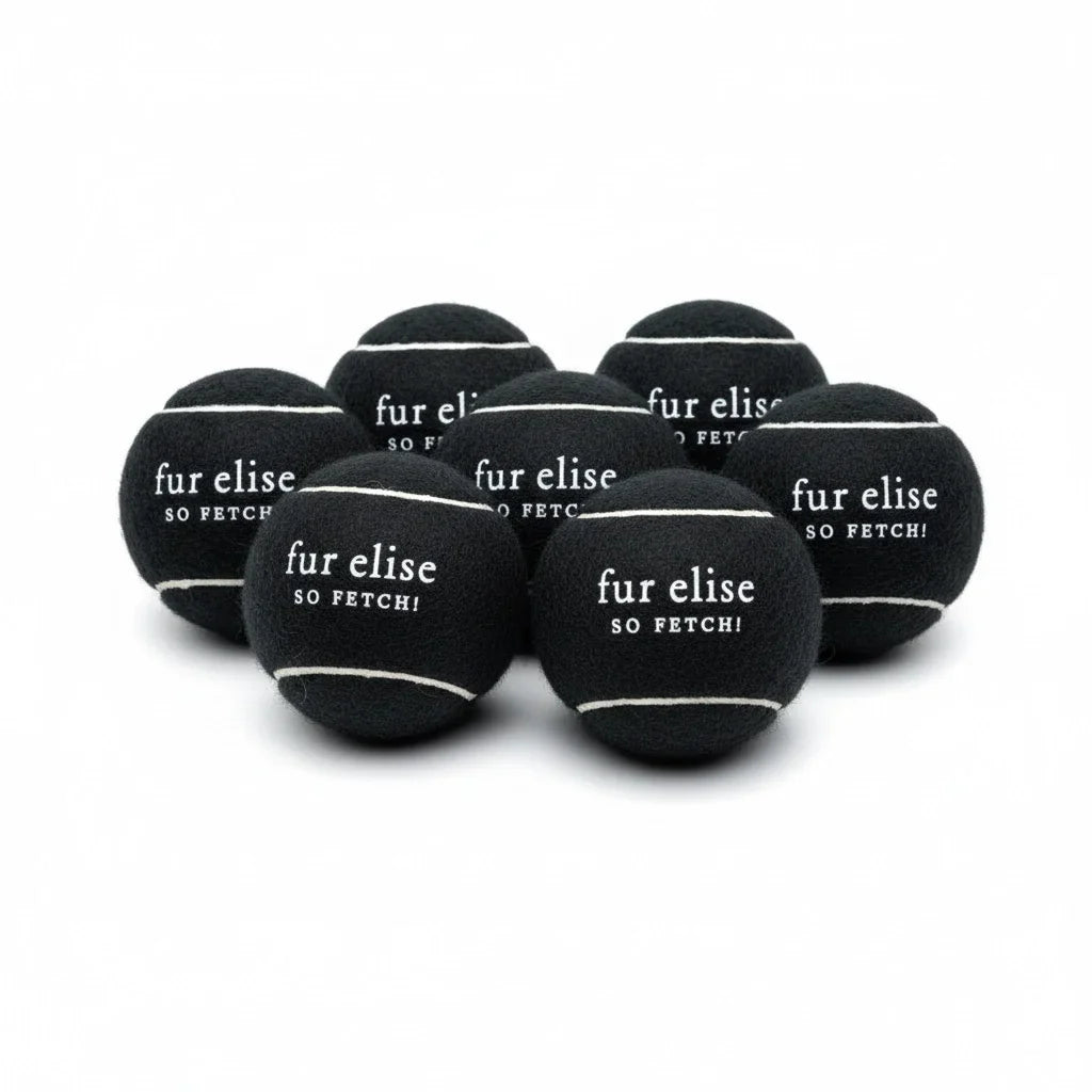 So Fetch! Lot de 7 balles de tennis - Noires
