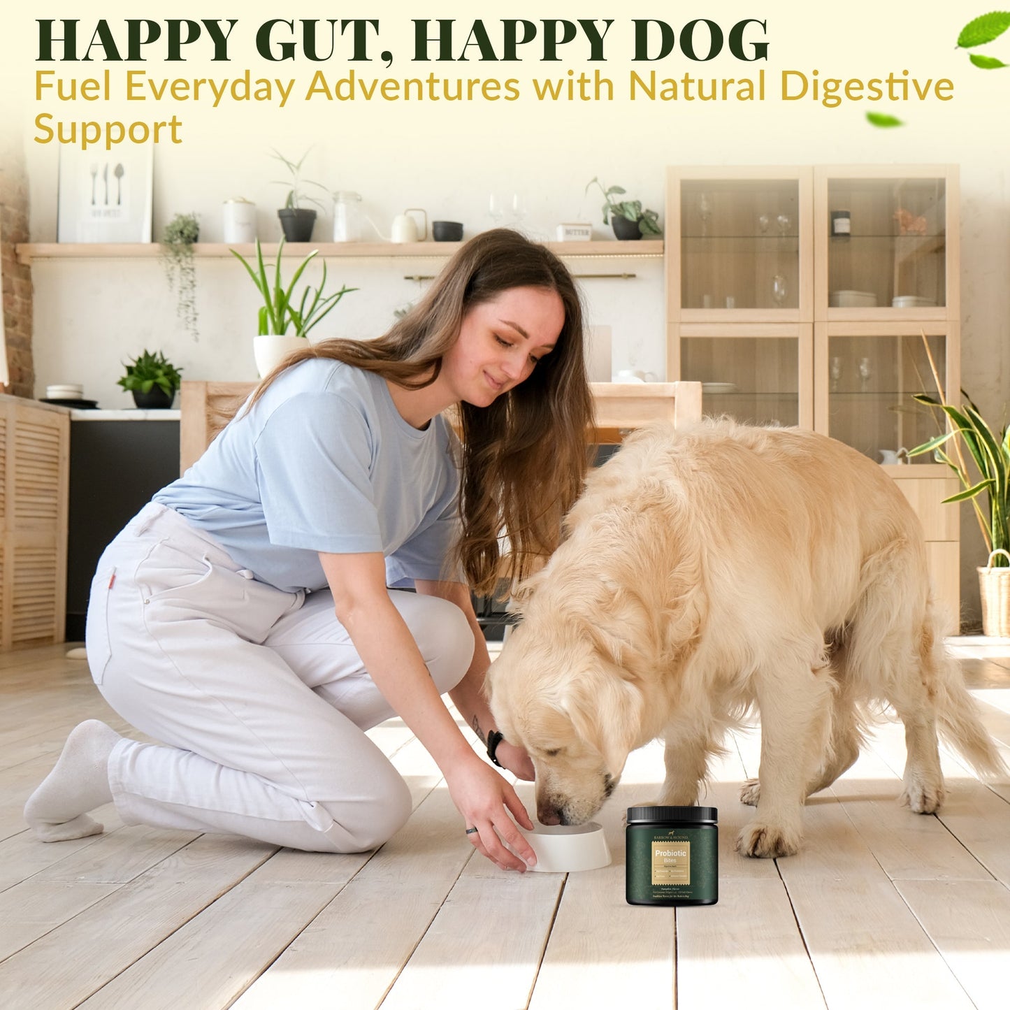 Bocados probióticos para perros: salud intestinal y apoyo digestivo