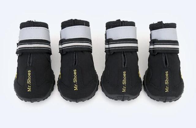 Chaussures/bottes imperméables pour chiens de taille moyenne à grande
