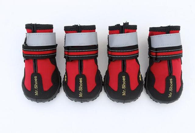 Chaussures/bottes imperméables pour chiens de taille moyenne à grande