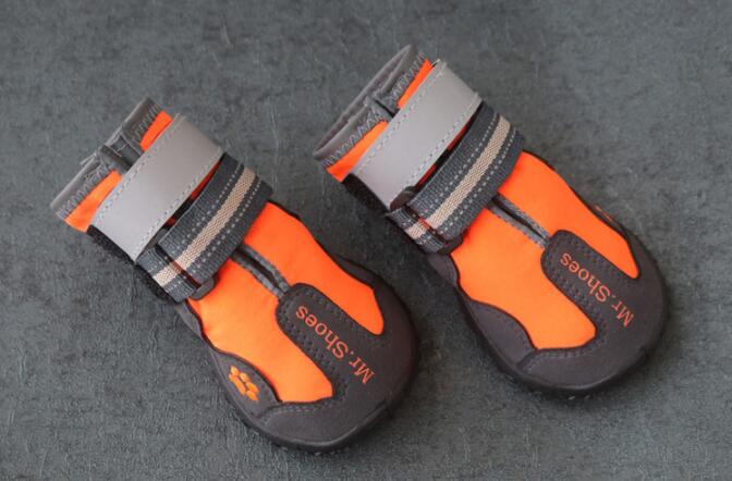 Chaussures/bottes imperméables pour chiens de taille moyenne à grande
