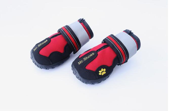 Chaussures/bottes imperméables pour chiens de taille moyenne à grande