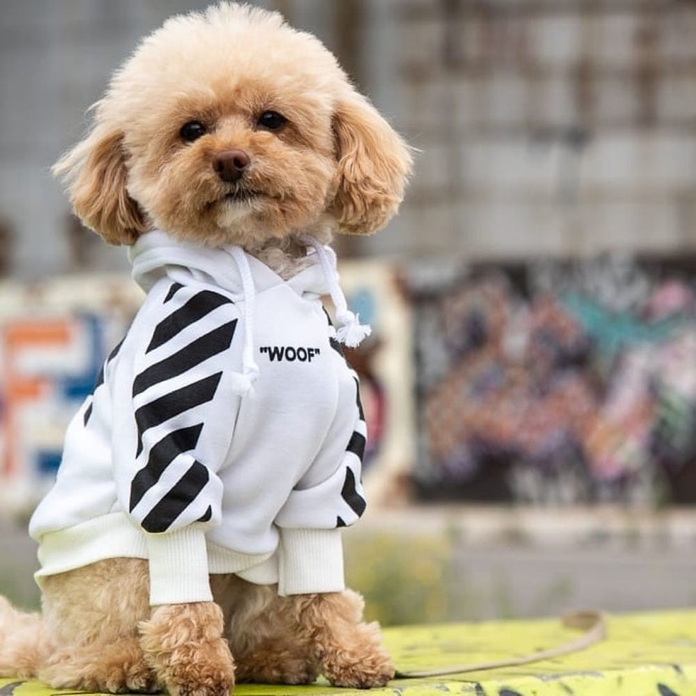 Sweat à capuche Fresh Pawz Woof pour chien