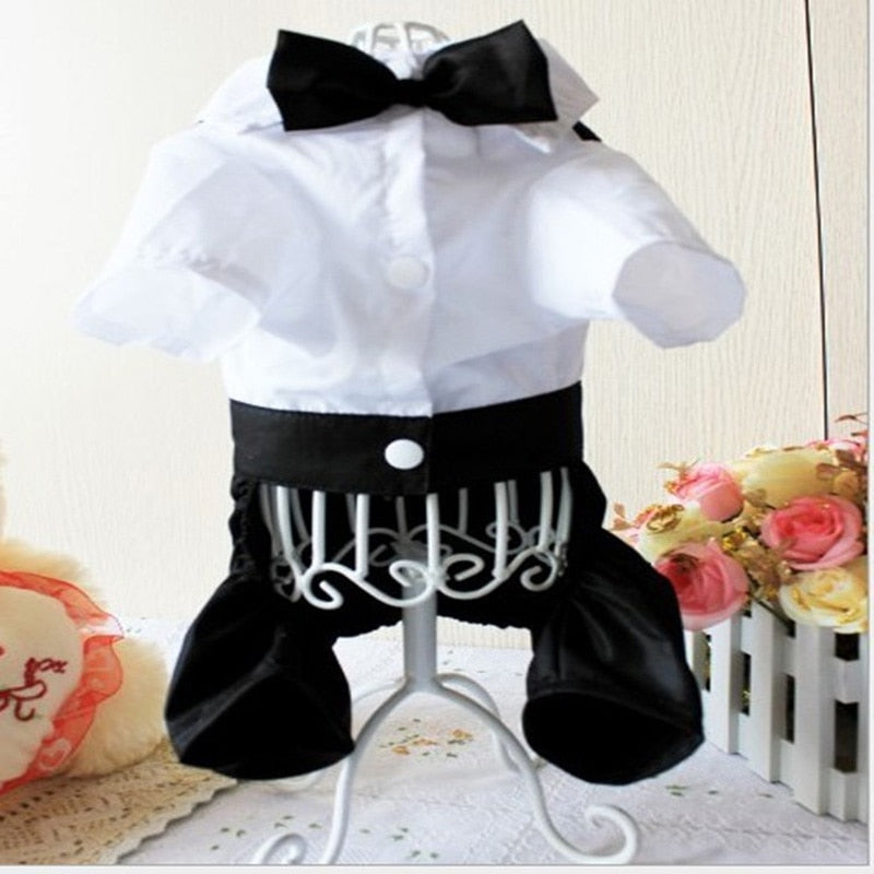 Costume élégant pour animaux de compagnie avec nœud papillon 
