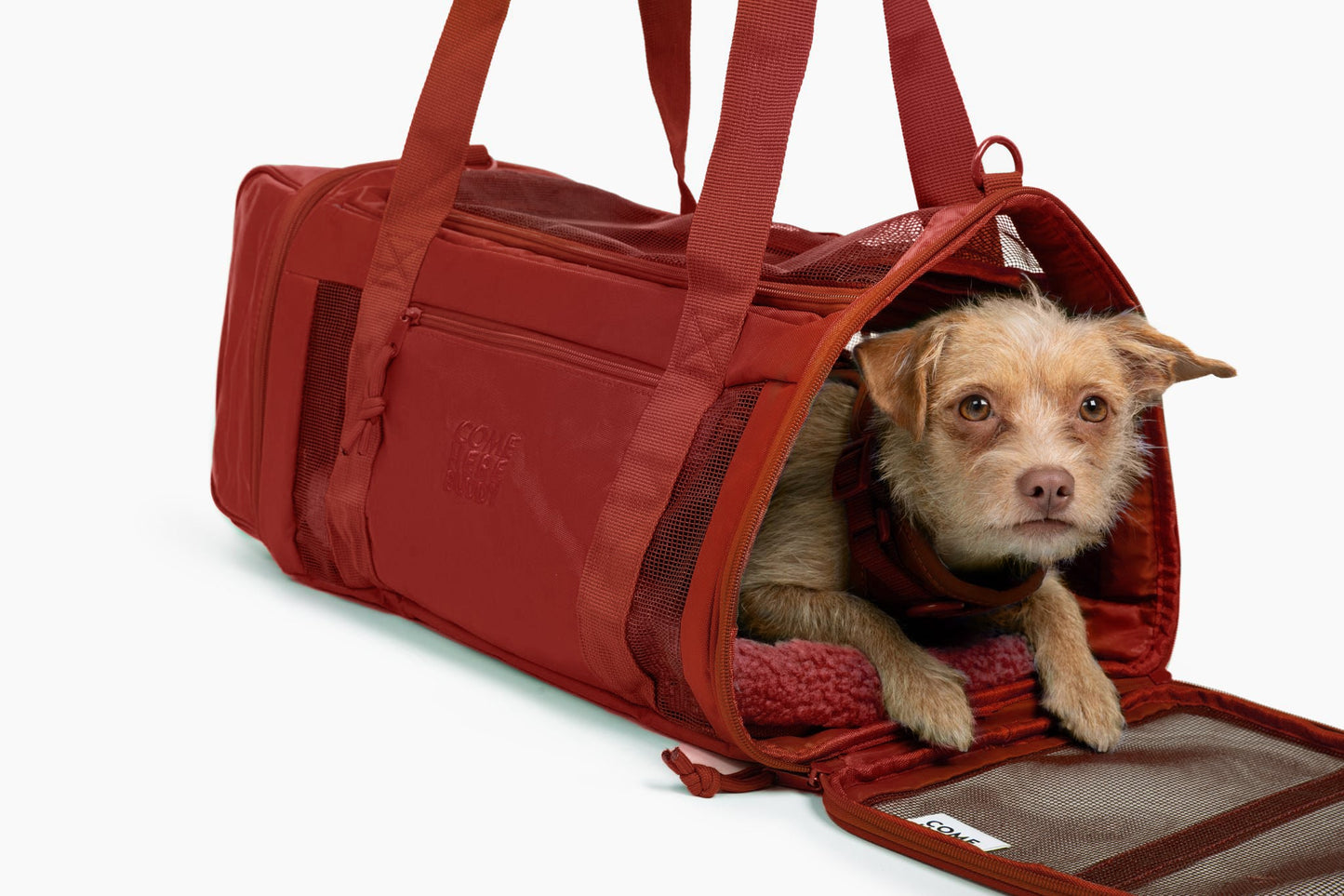 Travel Buddy - Transportín para mascotas